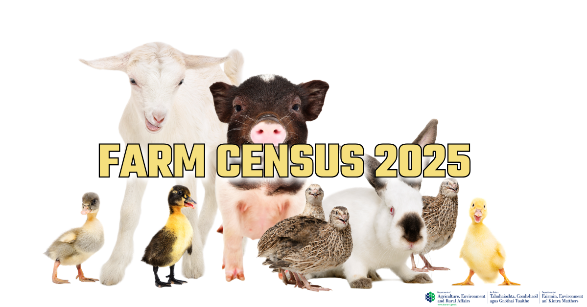 Take Part - 2025 Farm Census Now Open | Department of Agriculture ...