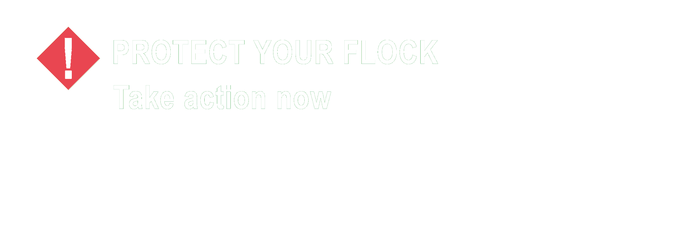 Protect your Flock Webinair - Take action now