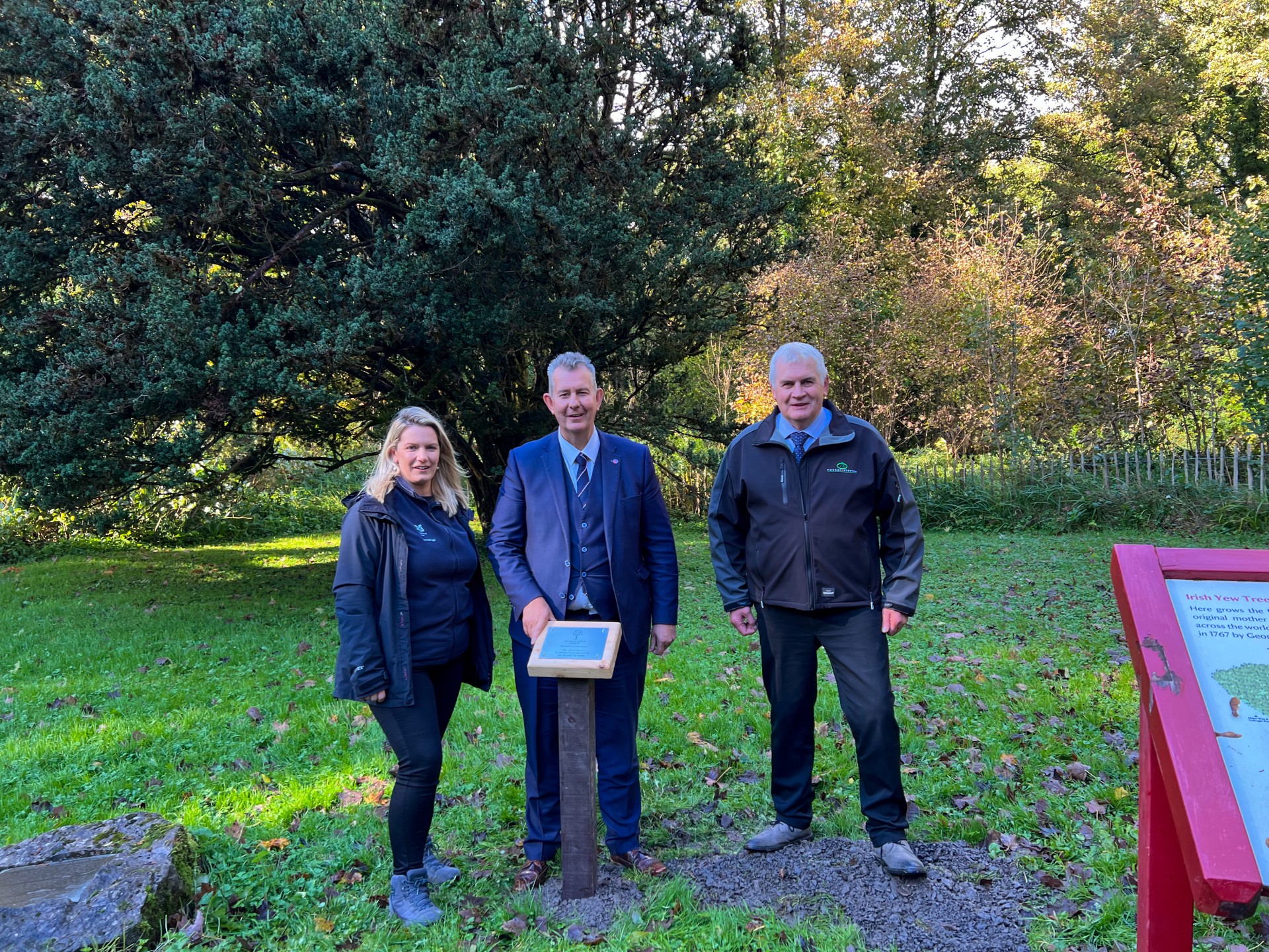 Poots Marks The Florencecourt Yew Tree Department Of Agriculture 