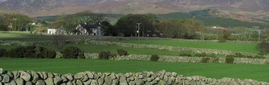 Scenic Image of fields and land in the Mourne Mountains