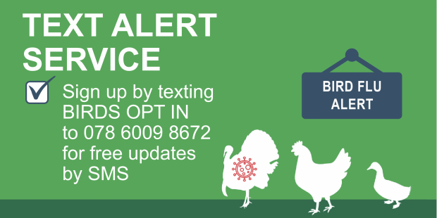 Text Alert Service, Sign up by texting BIRDS OPT IN to 078 6009 8672 for free updates by SMS - Bird Flu Alert