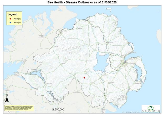 Map of disease outbreaks in Northern Ireland in bees during twenty twenty 