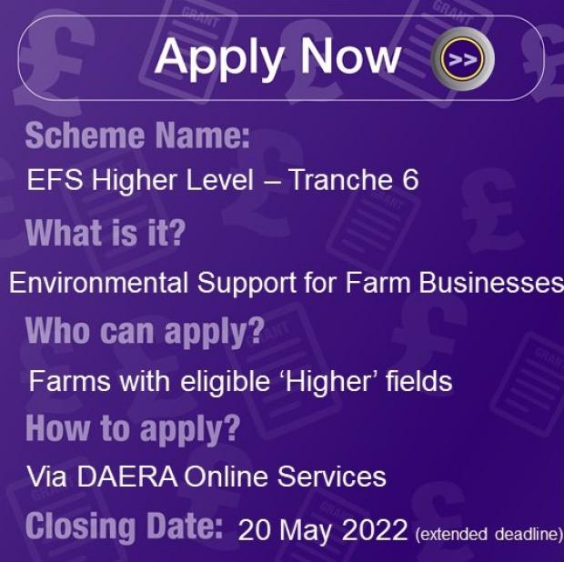 Scheme Name: EFS Higher Level - Tranche 6, What is it? Environmental support for farm businesses, Who can apply? Farms with eligible 'Higher' fields, How to apply? Via DAERA online Services, Closing Date: 20 May 2022 (extended deadline)