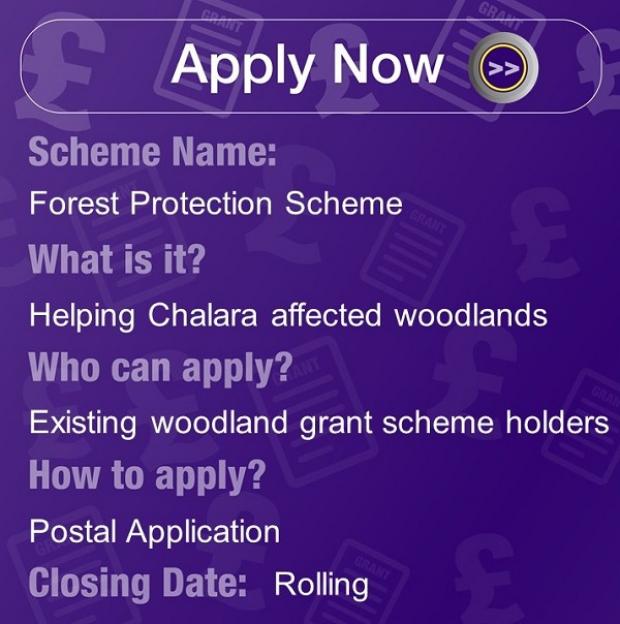 Forest Protection Scheme, Helping Chalara affected woodlands for Existing woodland grant scheme holders. Apply with Postal application, rolling