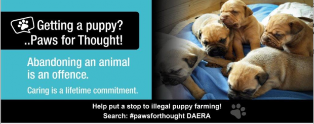 Getting a puppy? ..Paws for Thought! - Abandoning an animal is an offence. Caring is a lifetime commitment. Help put a stop to illegal puppy farming! Search: #pawsforthought DAERA