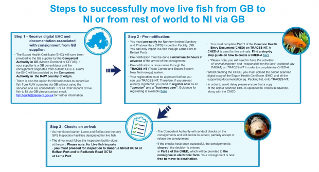 Steps to successfully move live fish from GB to NI or from Rest of World to NI via GB (infographic)
