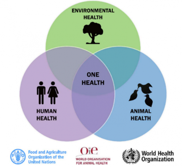 Venn Diagram Showing: Human Health + Environmental Health + Animal Health = One Health | The Food and Agriculture Organization of the United Nations | The World Organisation for Animal Health | World Health Organisation