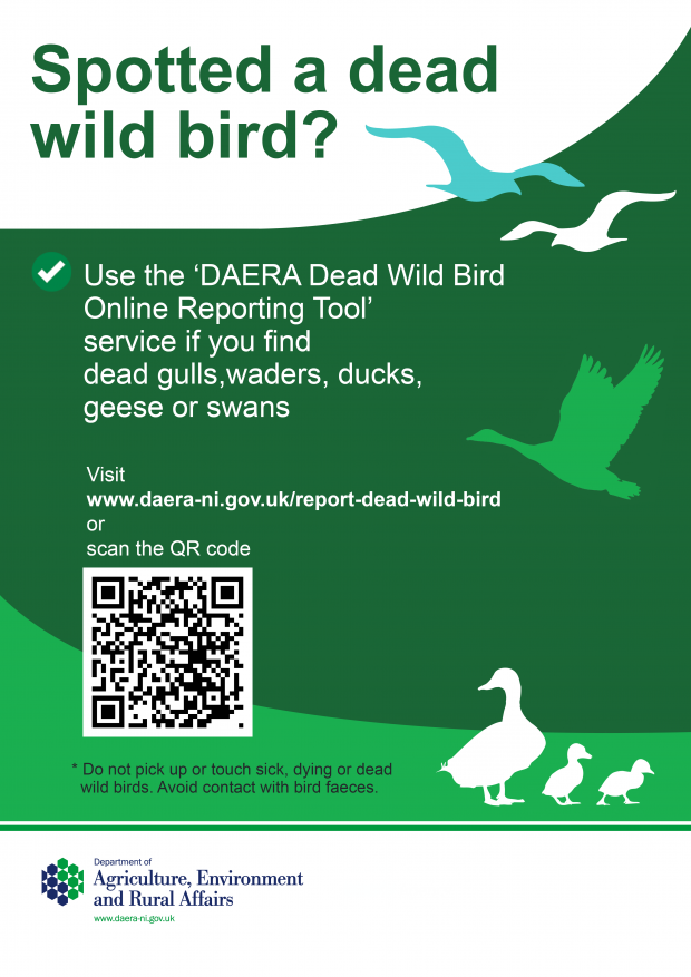 Poster for reporting dead wild birds with QR code