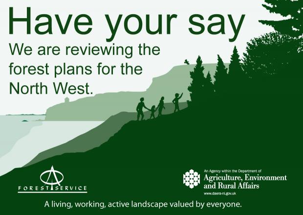 Have your say - flyer