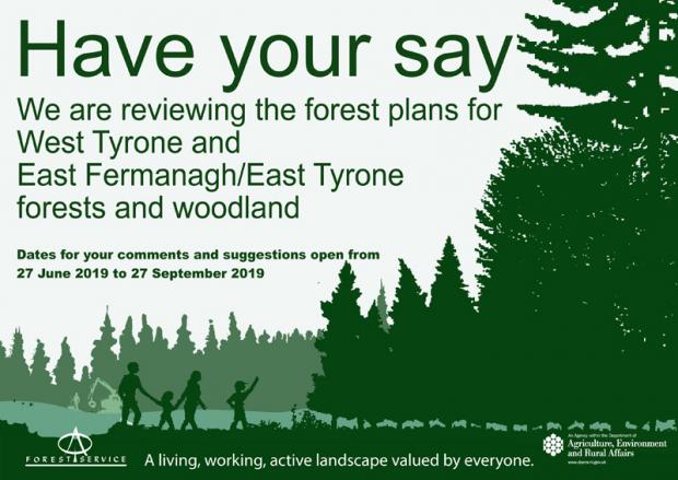 Have your say - flyer