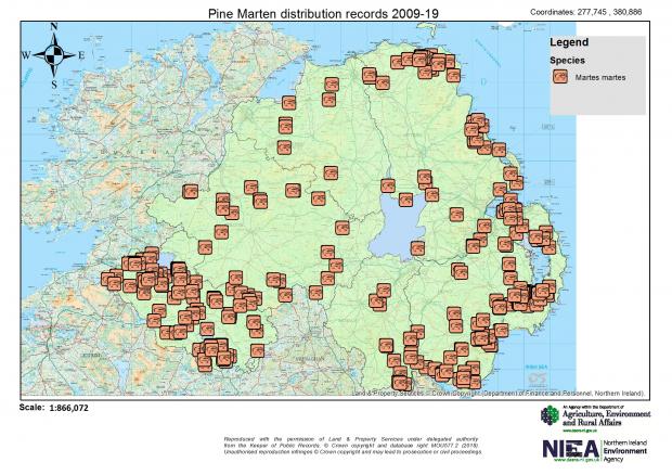 Image of pine marten distribution in NI
