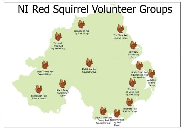 An image of a map of Northern Ireland with an image of a squirrel showing each of the locations of the Northern Ireland red squirrel volunteer groups