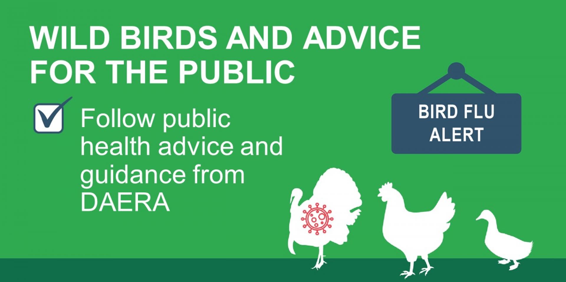Wild Birds and Advice for the Public | Department of Agriculture,  Environment and Rural Affairs