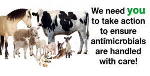 We need you to take action to ensure antimicrobials are handled with care!