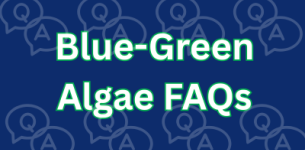 Blue-Green Algae FAQs