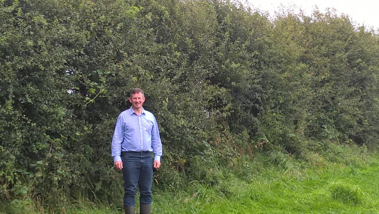 Managing hedges for wildlife | Department of Agriculture, Environment ...