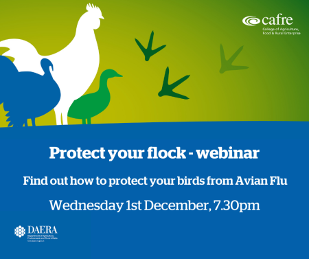 Protect your flock webinar | Department of Agriculture, Environment and ...