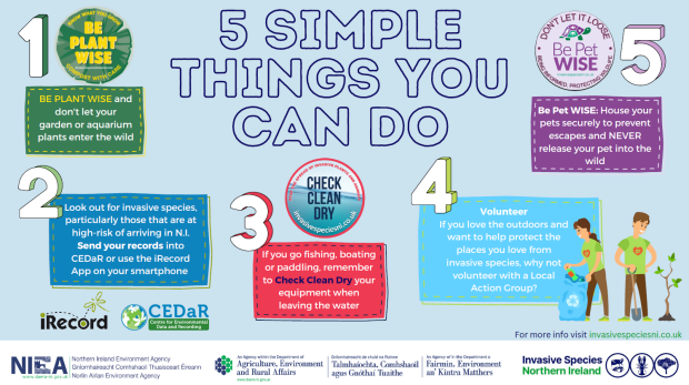 5 simple things you can to to stop the spread of invasive species - be plant wise, record sightings, check - clean - dry, volunteer, be pet wise