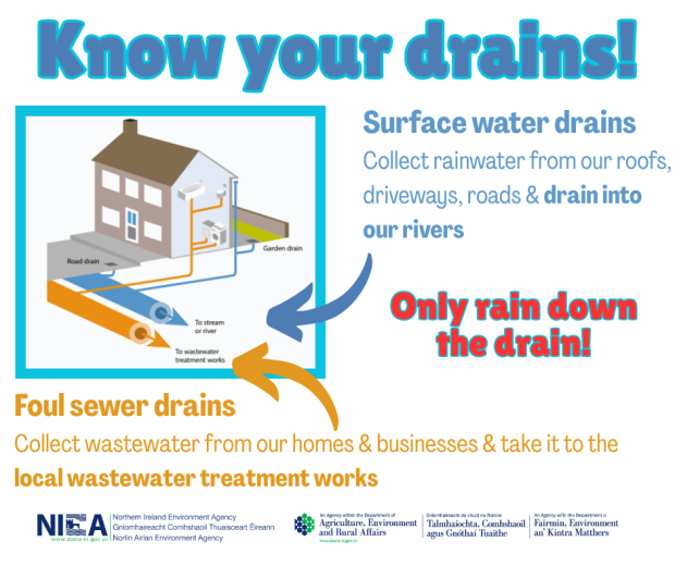 Know your drains graphic showing where household drains go