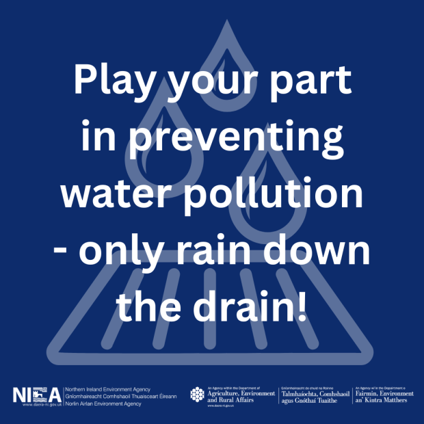 Play your part in preventing water pollution - only rain down the drain