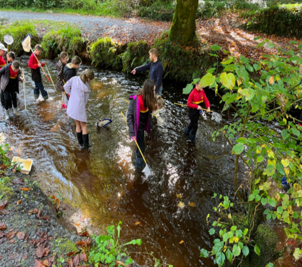 Group of primary school children standing a river with nets