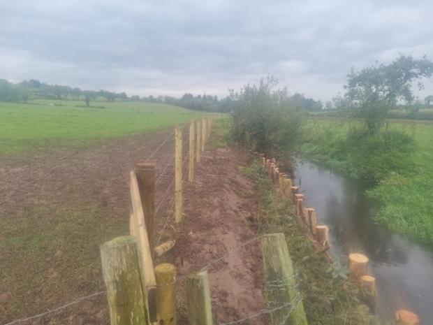 New fencing along a muddy river bank