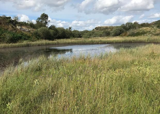 A photograph of Black Lough (County Down) ASSI