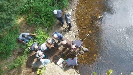 River Dennett kick sampling to identify aquatic invertebrates