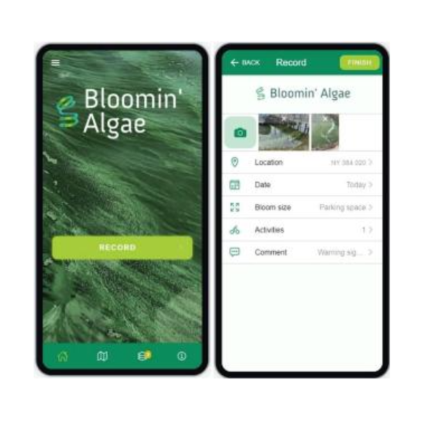 Screenshot of the Bloomin' Algae app on a mobile phone