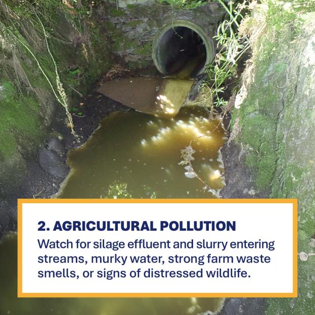 Image of agricultural pollution in water with text Agricultural Pollution watch for silage effluent and slurry entering streams, murky water, strong farm waste smells, or signs of distressed wildlife