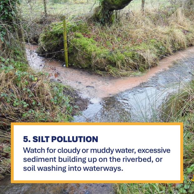 Brown muddy river with text Silt Pollution - Watch for cloudy or muddy water, excessive sediment building up on the riverbed, or soil washing into waterways