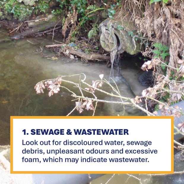 Sewage pollution with text Sewage and wastewater. Look out for discoloured water, sewage debris, unpleasant odours and excessive foam, which may indicate wastewater.
