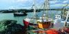 Image of fishing trawlers in harbour