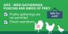AIPZ - Bird Gatherings, Pigeons & Birds of Prey - Poultry gatherings are not permitted, Check restrictions