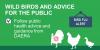 Wild Birds and Advice for the Public - Follow public health advice and guidance from DAERA