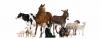 Agricultural Animals - Pig, Cow, Horse, Donkey, Sheep, Lamb, Pig, Geese, Collie, Turkey, Rooster, Hen